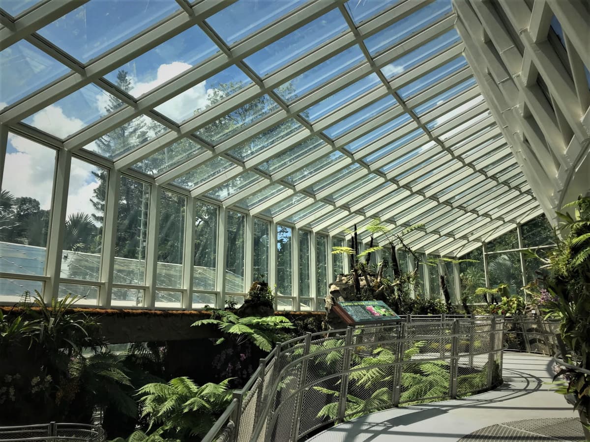 National Orchid Garden Ticket