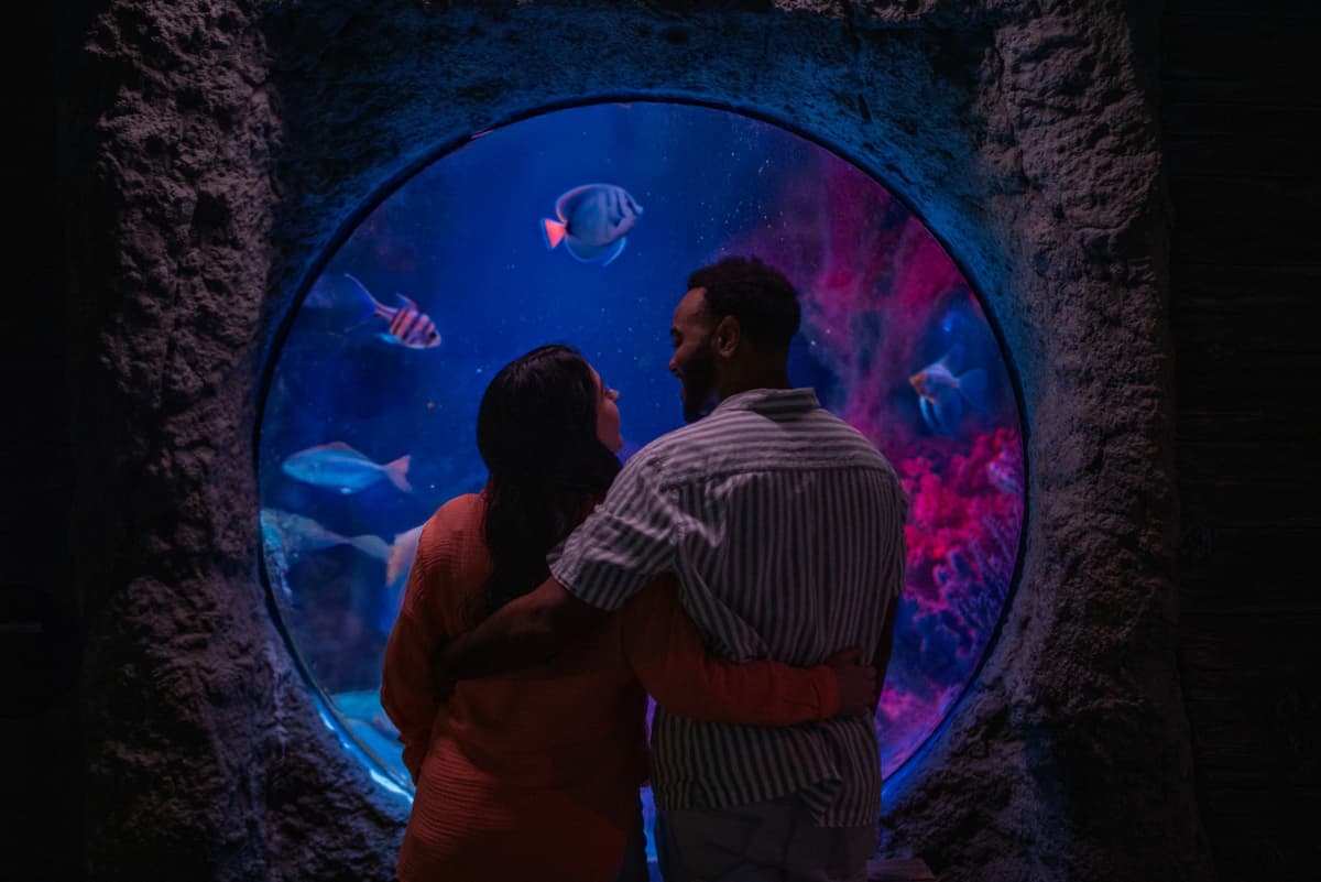 COMBO: Madame Tussauds Orlando + SEA LIFE Orlando Aquarium Ticket
