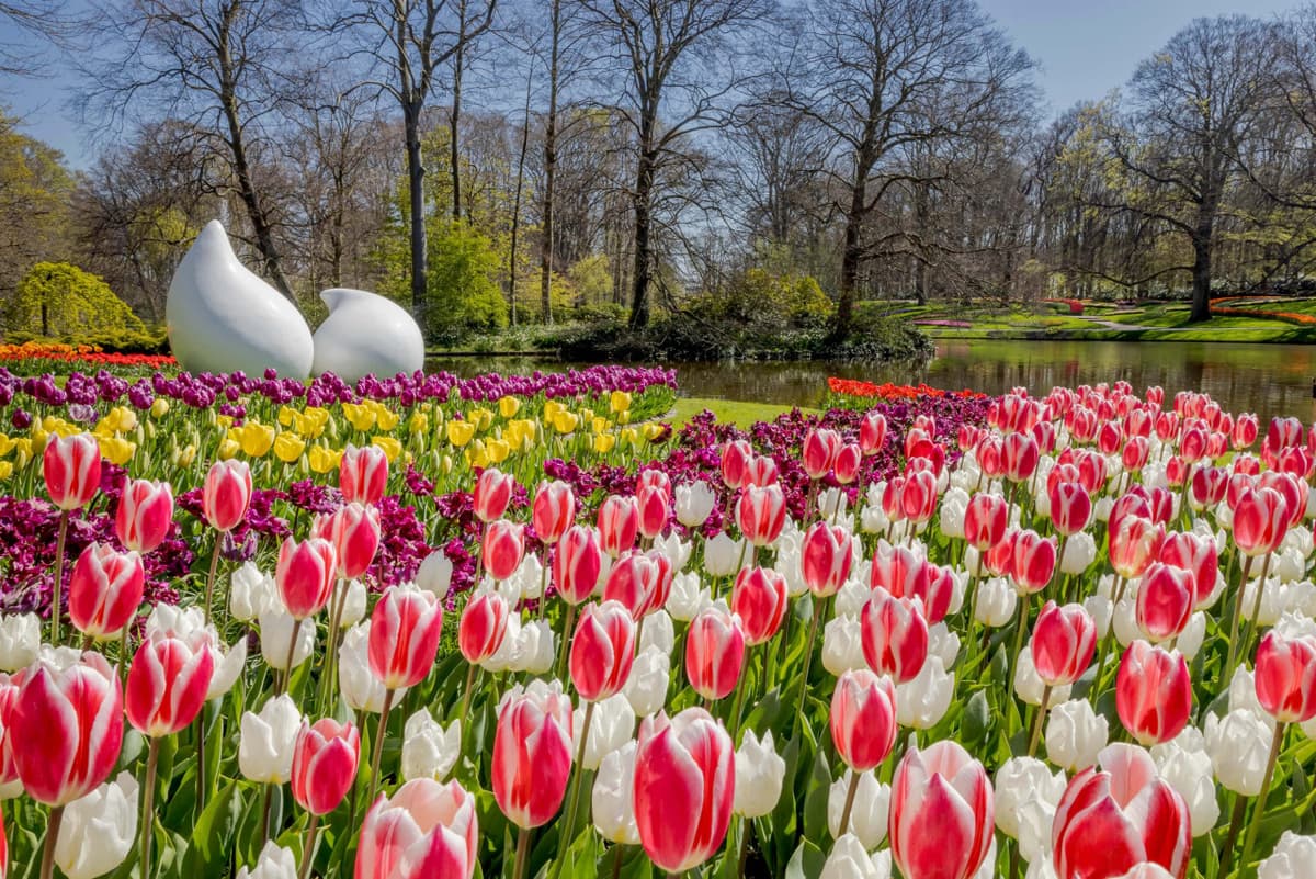 Go City Amsterdam Explorer Pass: Save up to 50% on Attractions