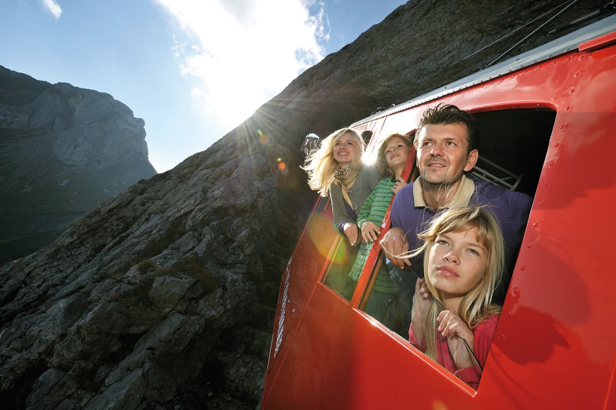 Swiss Travel Pass Flex Family Card (Non-Consecutive Days within One Month)