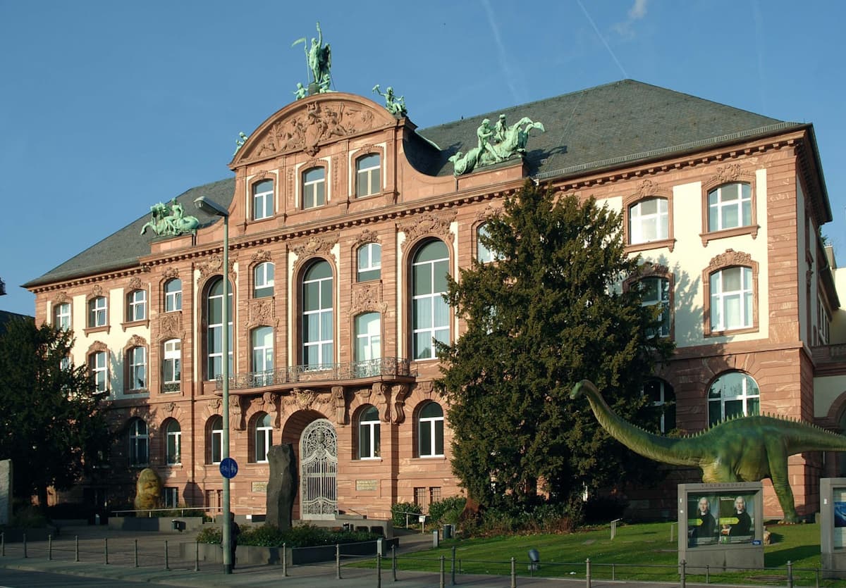 Frankfurt Card