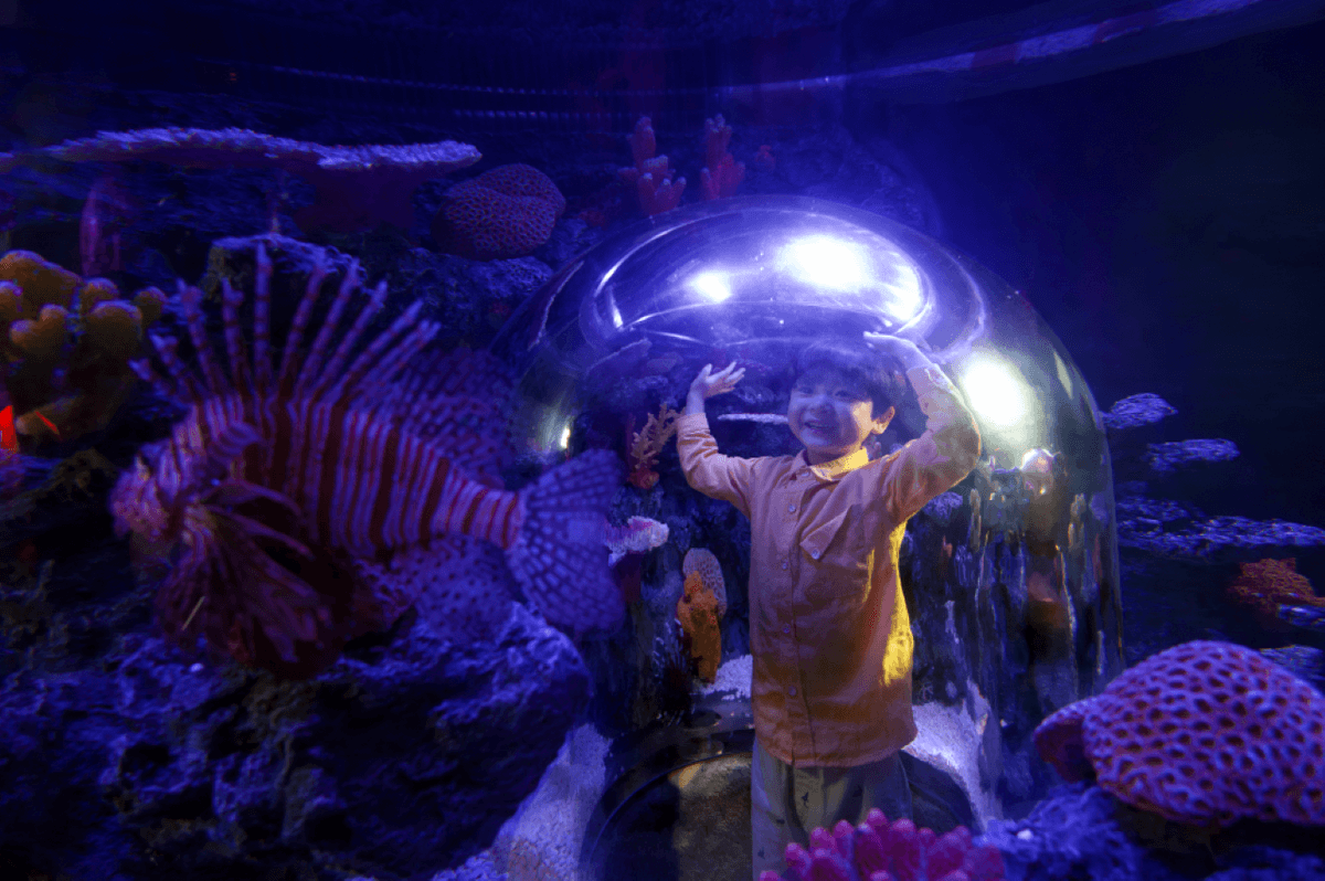 SEA LIFE COEX, Seoul Aquarium Ticket