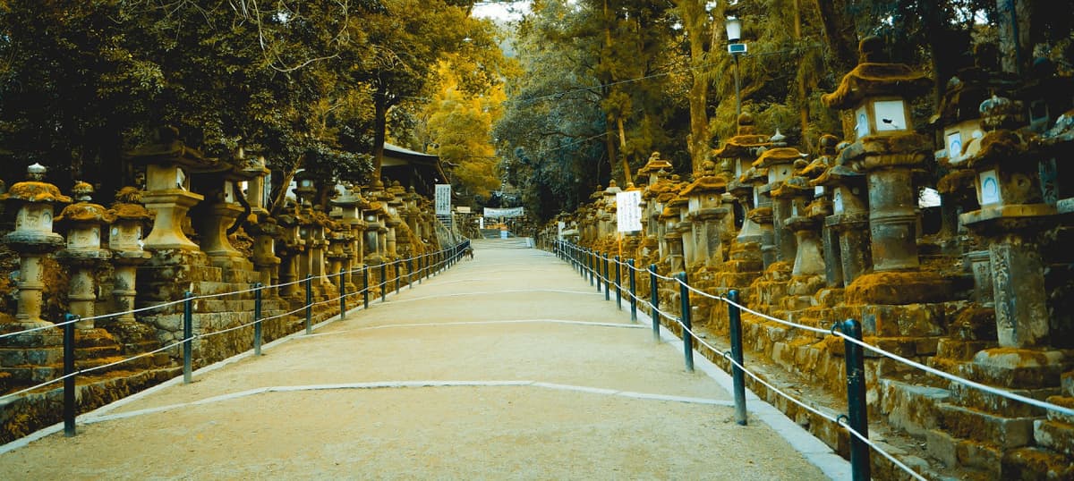 Nara Tour from Kyoto