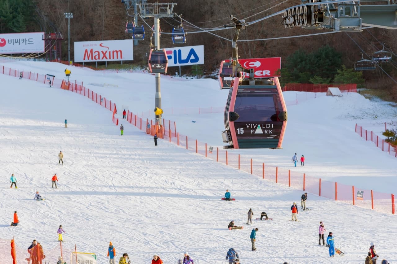 Vivaldi Park Ski World and Nami Island Full-Day Tour from Seoul – photo 4