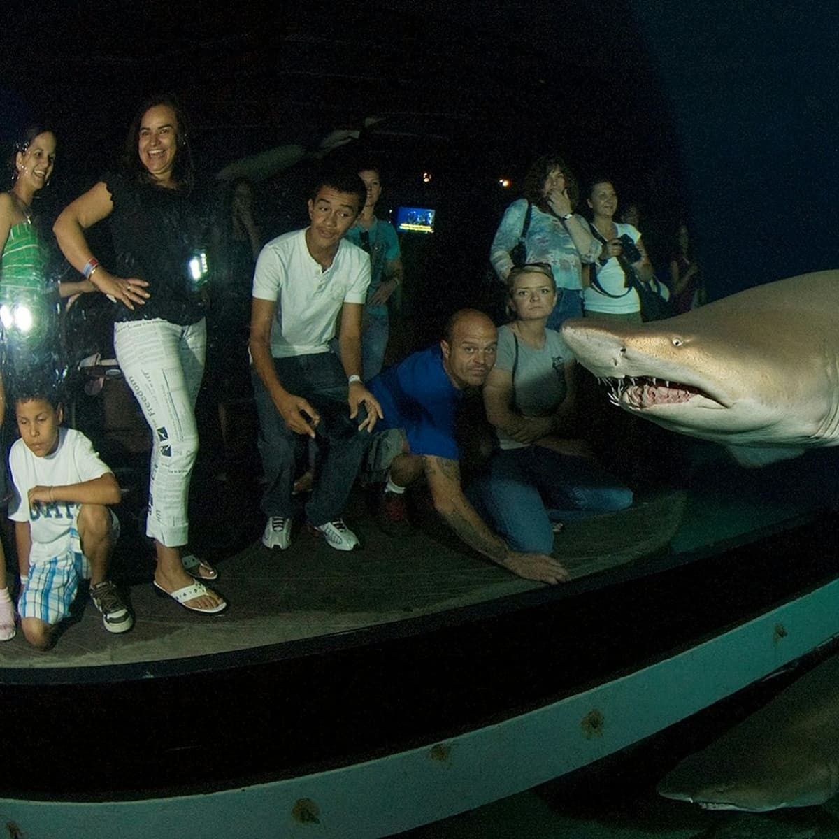 Downtown Aquarium Denver Ticket