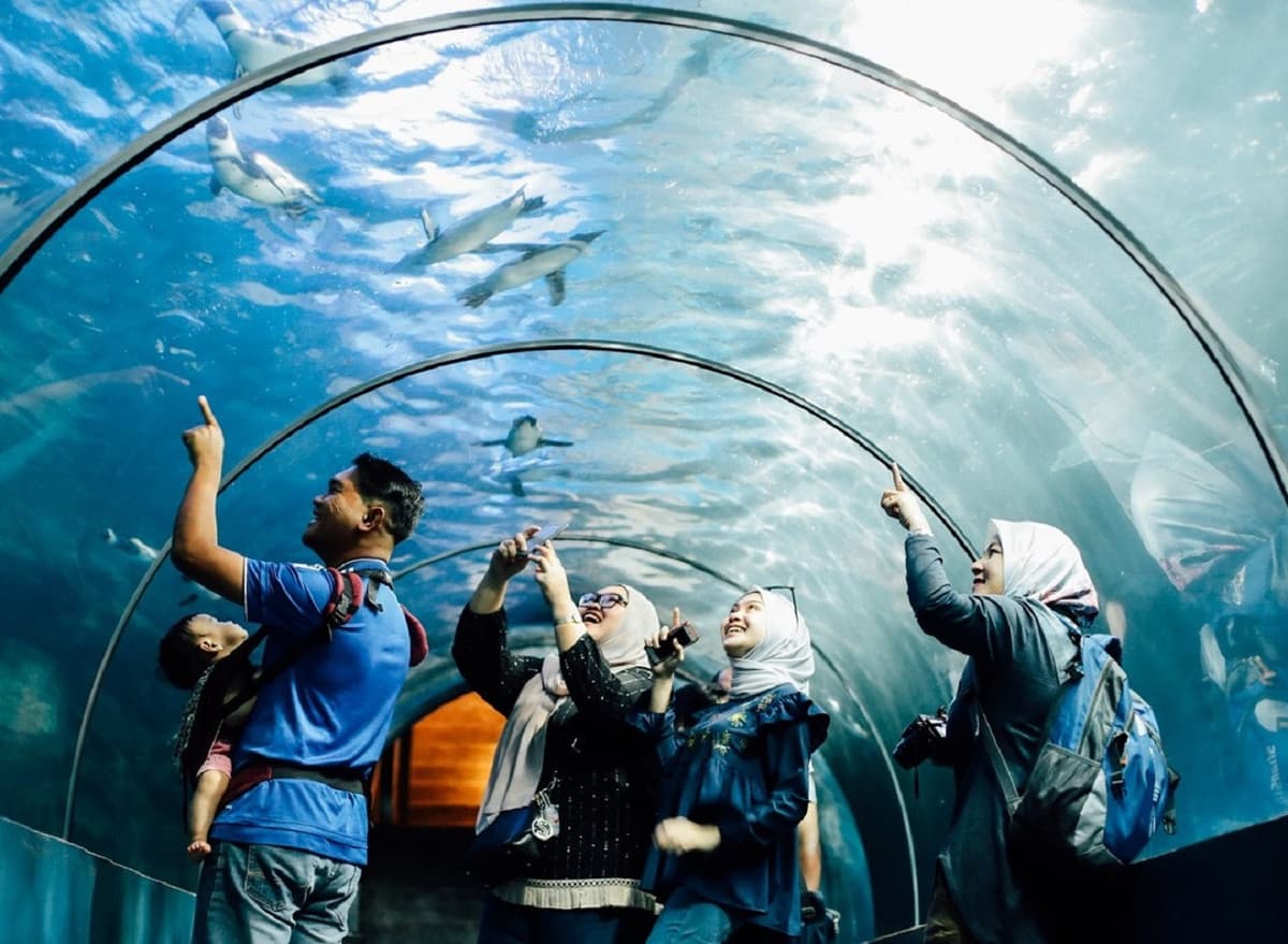 Underwater World Langkawi Ticket