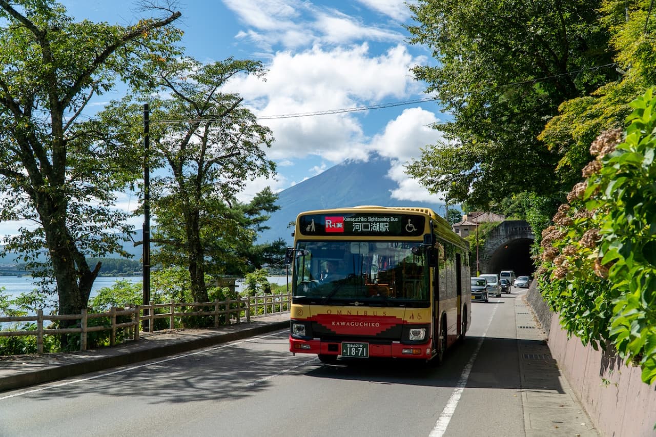 Fuji Hakone Pass – photo 5