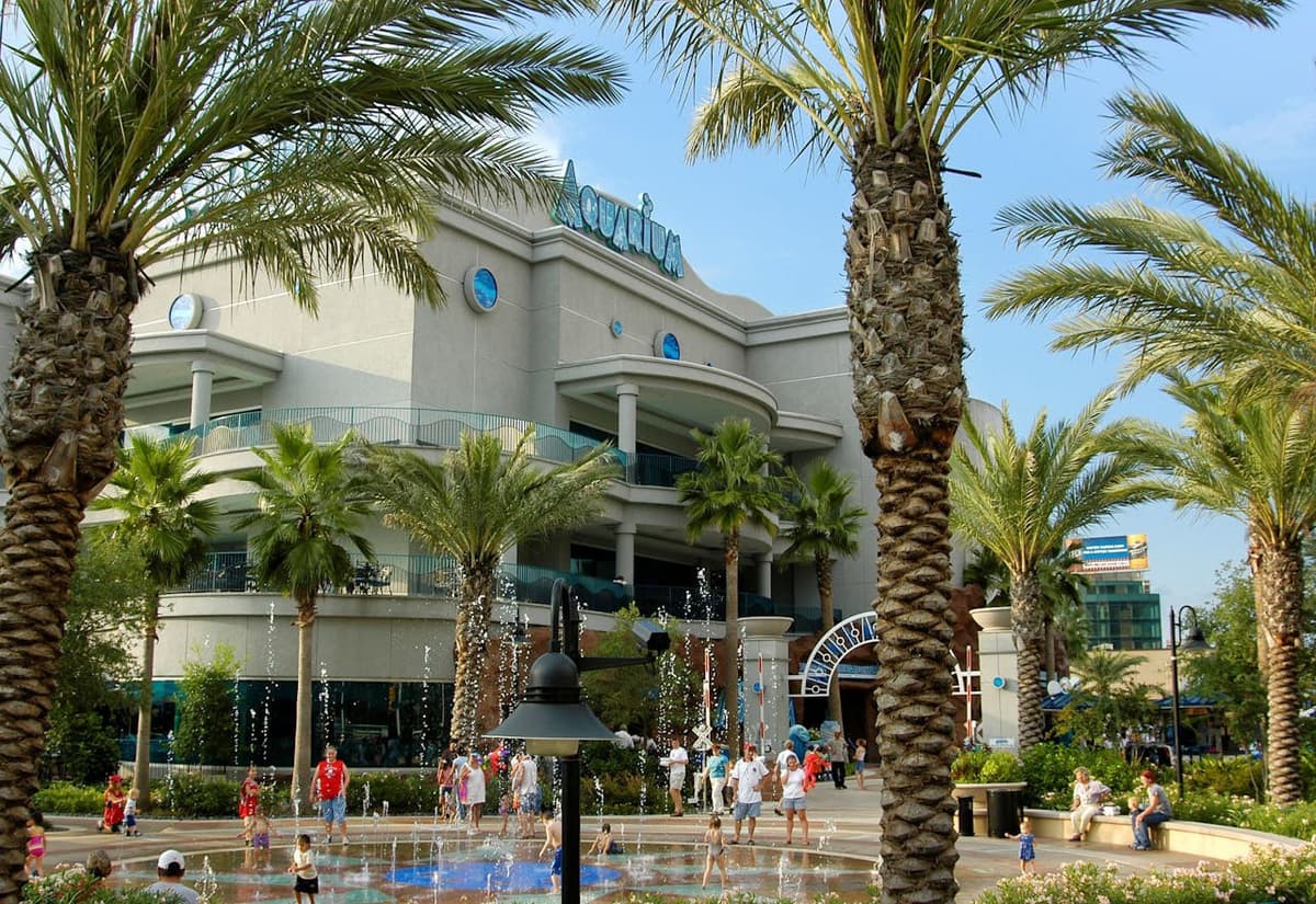 Downtown Aquarium Houston Ticket