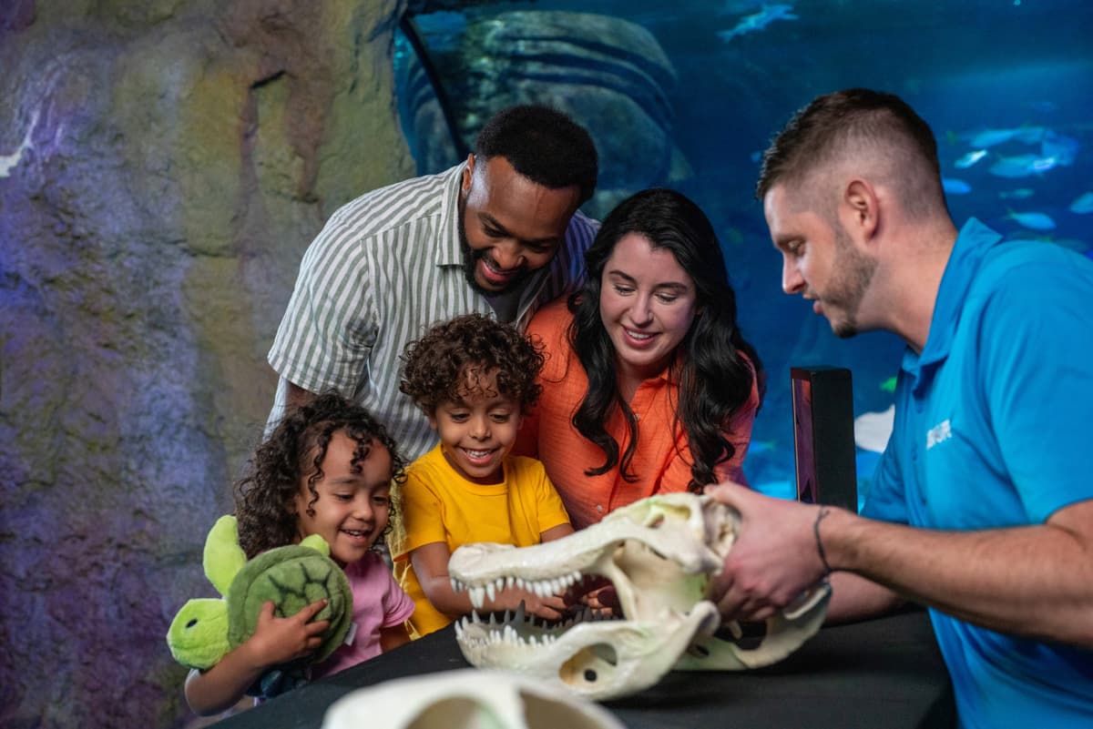 COMBO: Madame Tussauds Orlando + SEA LIFE Orlando Aquarium Ticket