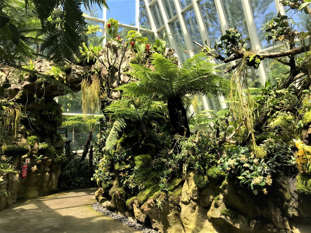 National Orchid Garden Ticket