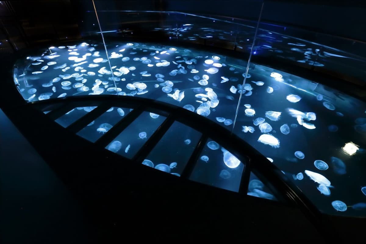 Sumida Aquarium Ticket