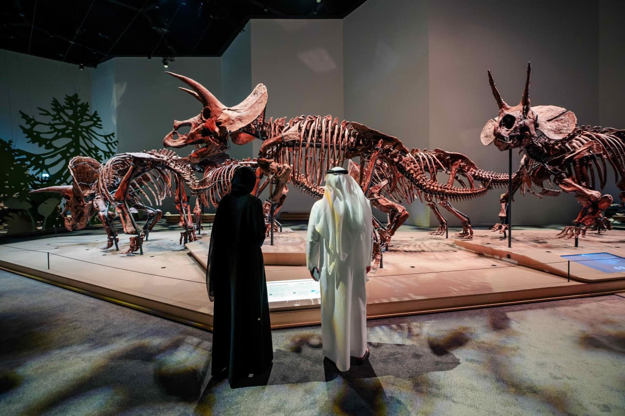 COMBO: Zayed National Museum + Natural History Museum + Louvre Abu Dhabi Tickets