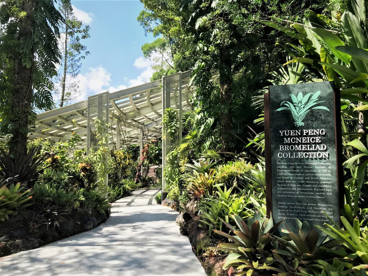 COMBO: Gardens by the Bay + National Orchid Garden Ticket
