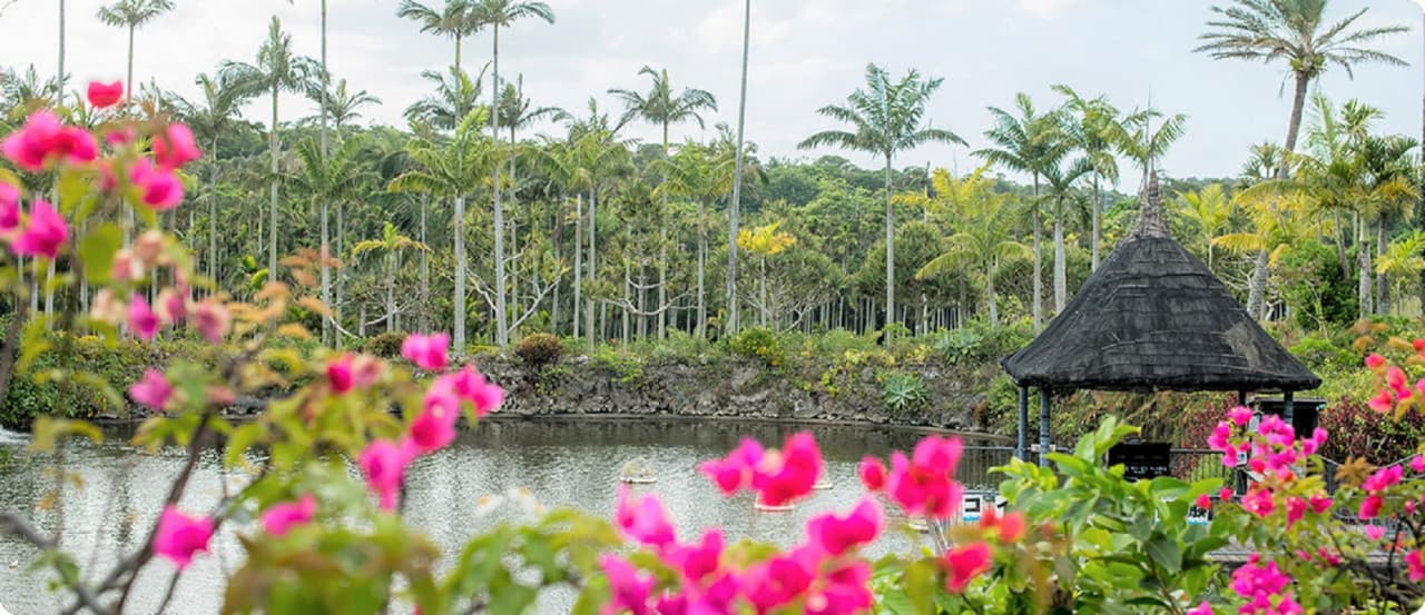 Okinawa Southeast Botanical Gardens – photo 13