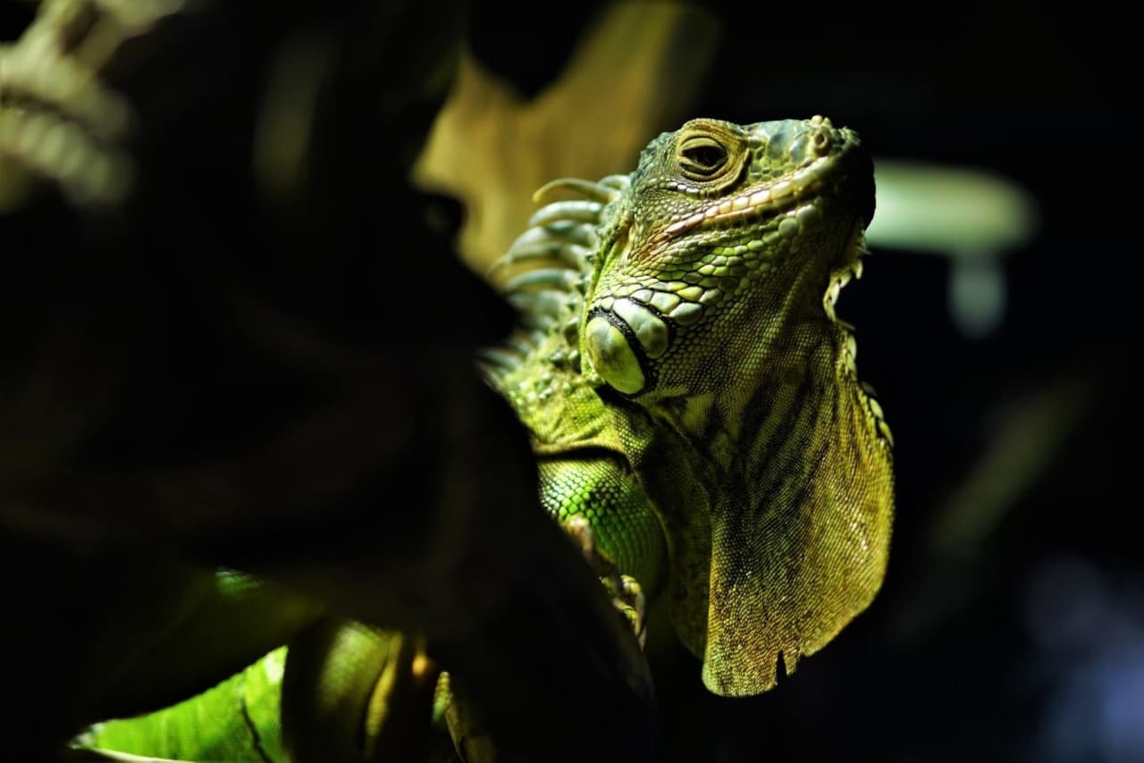 Aquaria Phuket – photo 33