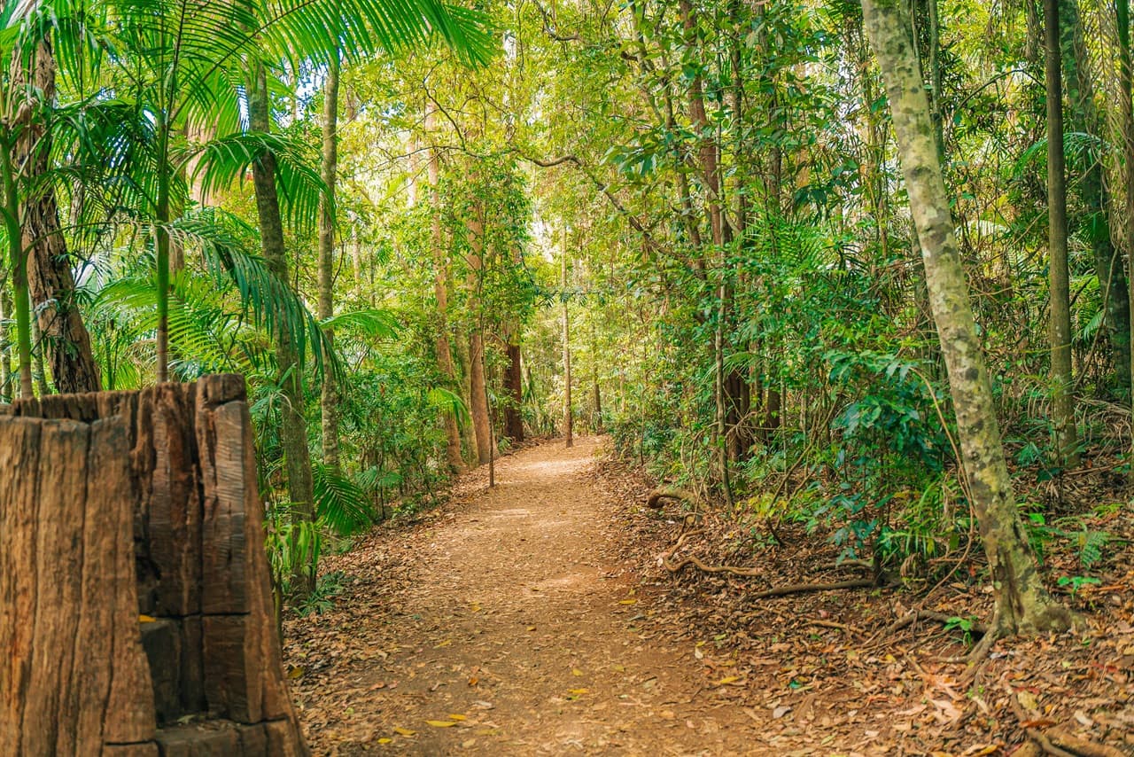 Tamborine Mountain Guided Walk and Wine Tasting Tour