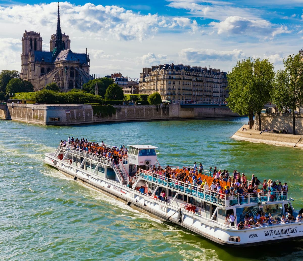 Seine River Sightseeing Cruise by Bateaux Mouches