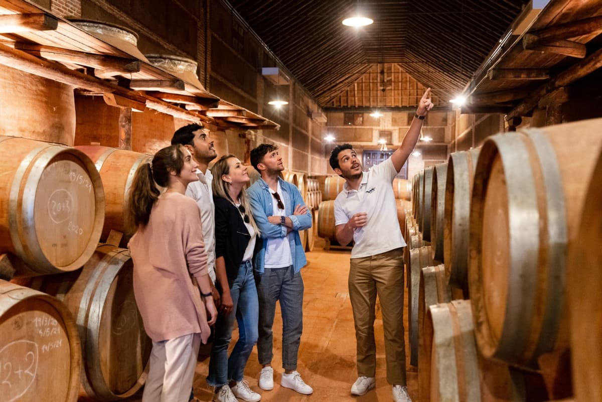 Toledo City Tour from Madrid with Wine Tasting Experience