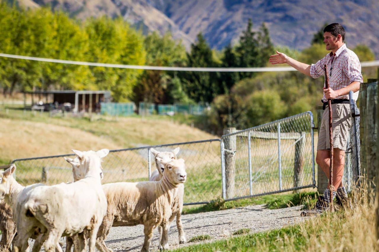 Walter Peak High Country Farm Tour – photo 8