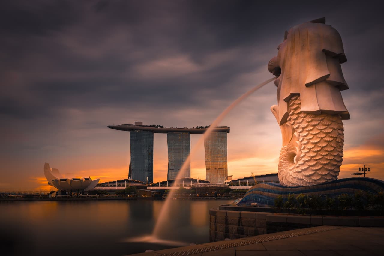 Merlion Park, National Orchid Garden, and Little India Tour – photo 7