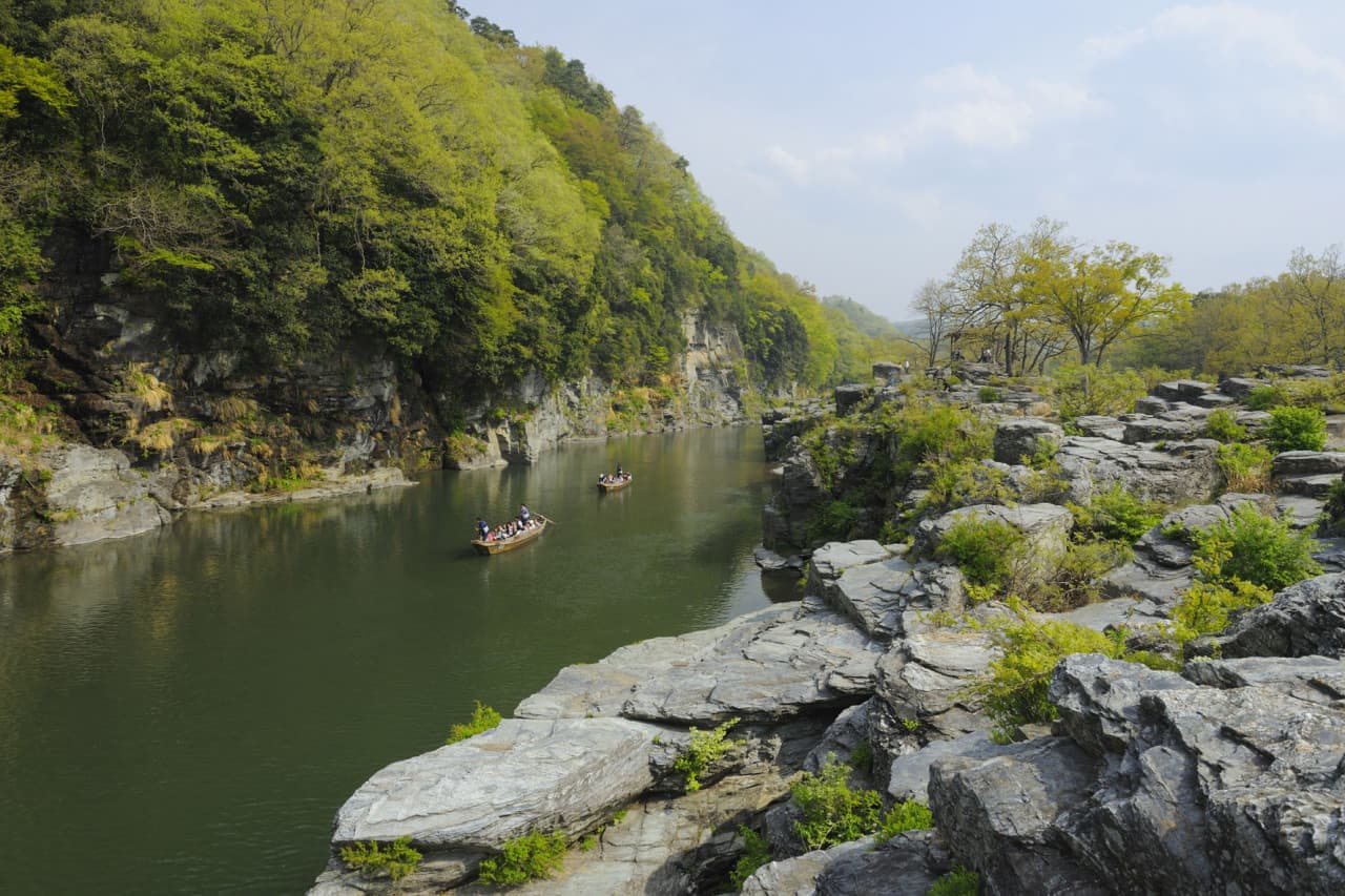 Seibu 1 Day Pass + Nagatoro – photo 2