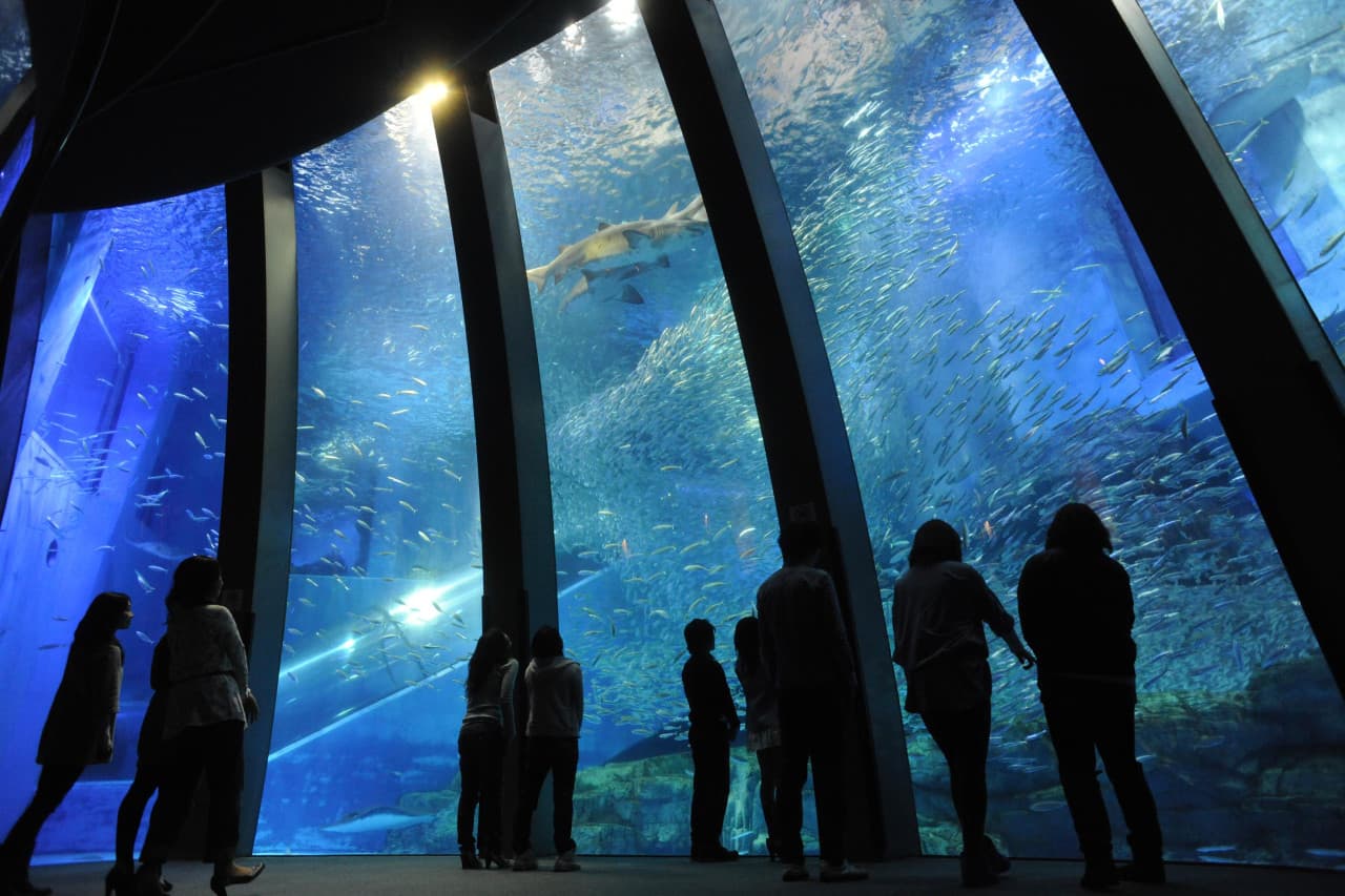 Yokohama Hakkeijima Sea Paradise Ticket – photo 2