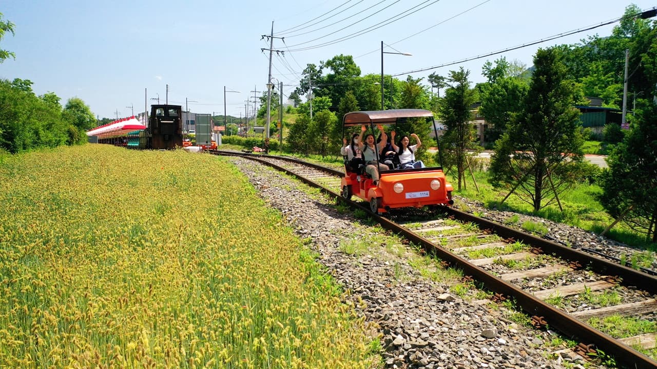 Nami Island, Mount Seorak, and Gapyeong Rail Bike Full-Day Tour from Seoul – photo 21