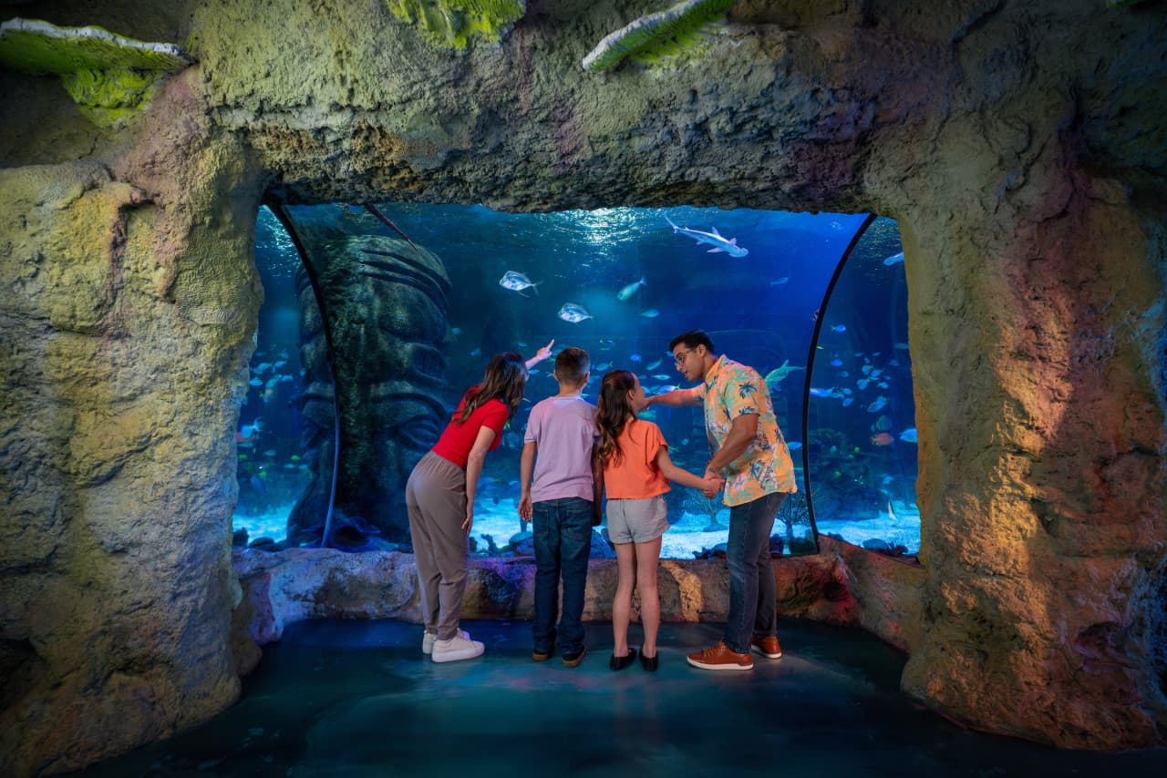 COMBO: Madame Tussauds Orlando + SEA LIFE Orlando Aquarium Ticket