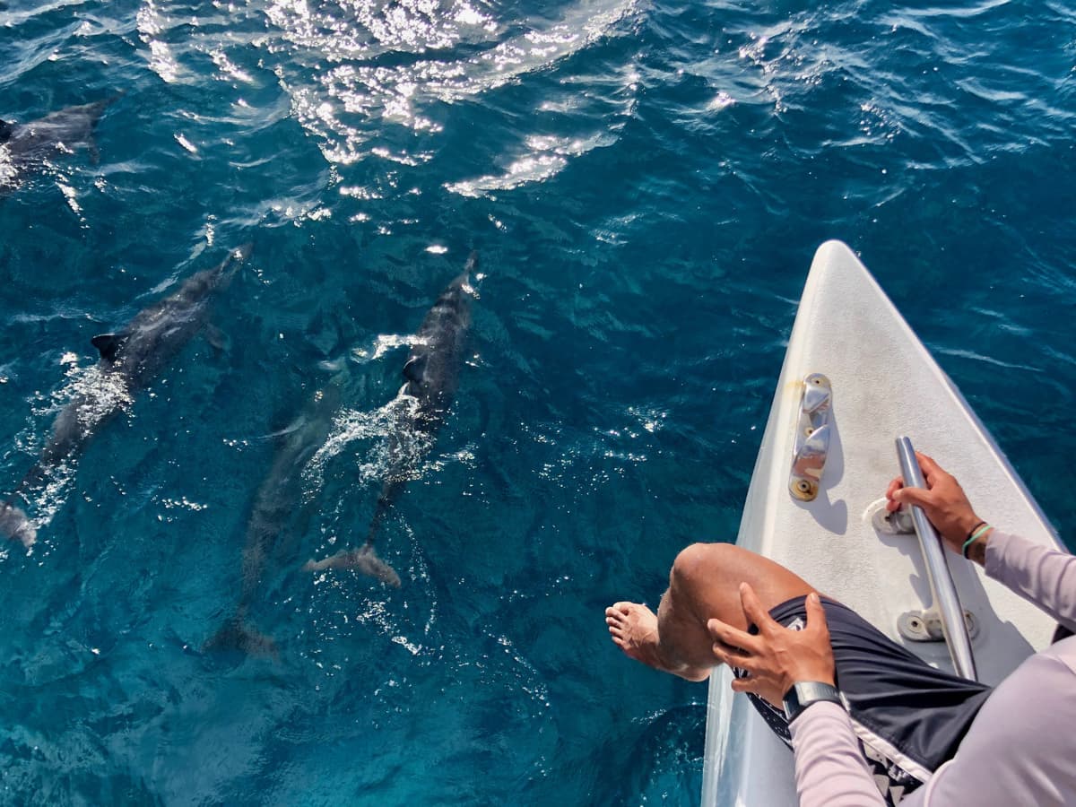 Go City Oahu Explorer Pass: Save up to 50% on Attractions