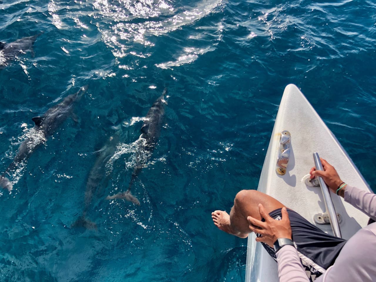 Go City Oahu Explorer Pass: Save up to 50% on Attractions