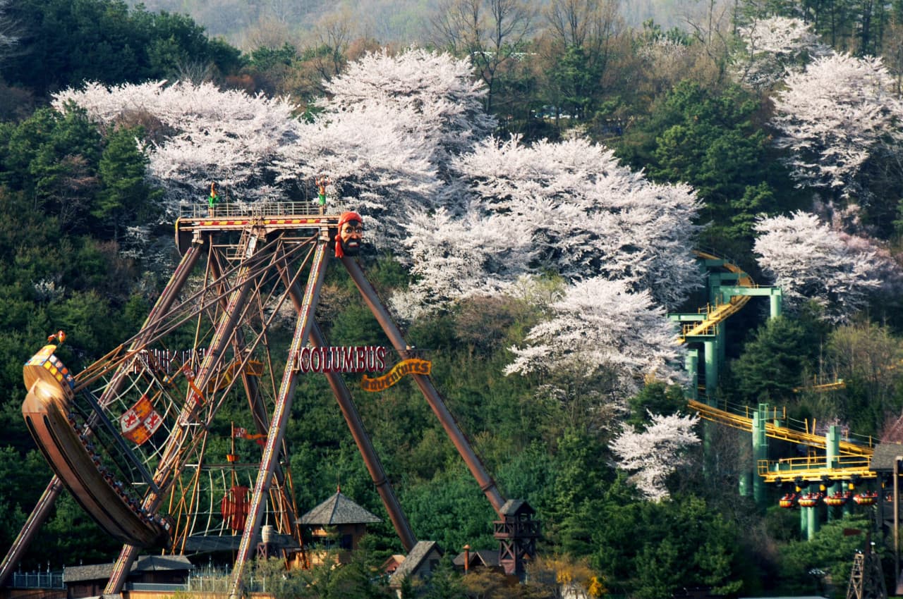 Everland Theme Park Ticket – photo 13