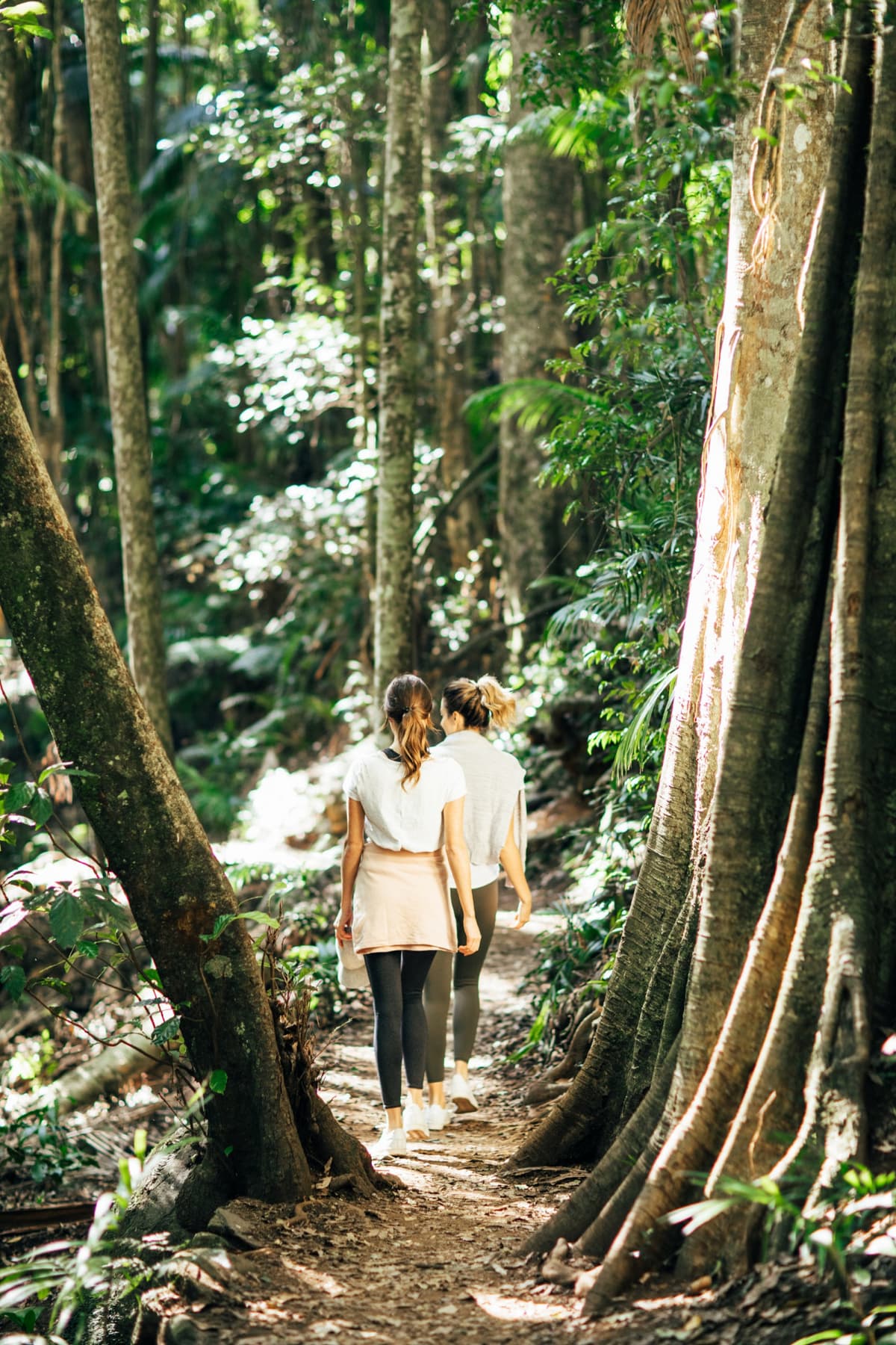 Springbrook National Park Tour: Natural Bridge and Waterfalls
