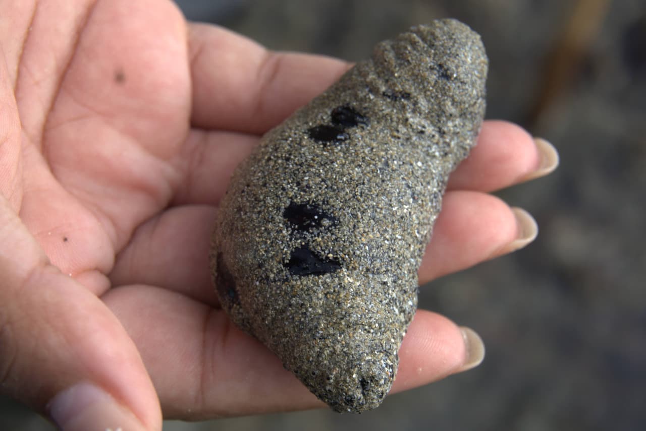 Desaru Beach and Tide Pool Walk – photo 28