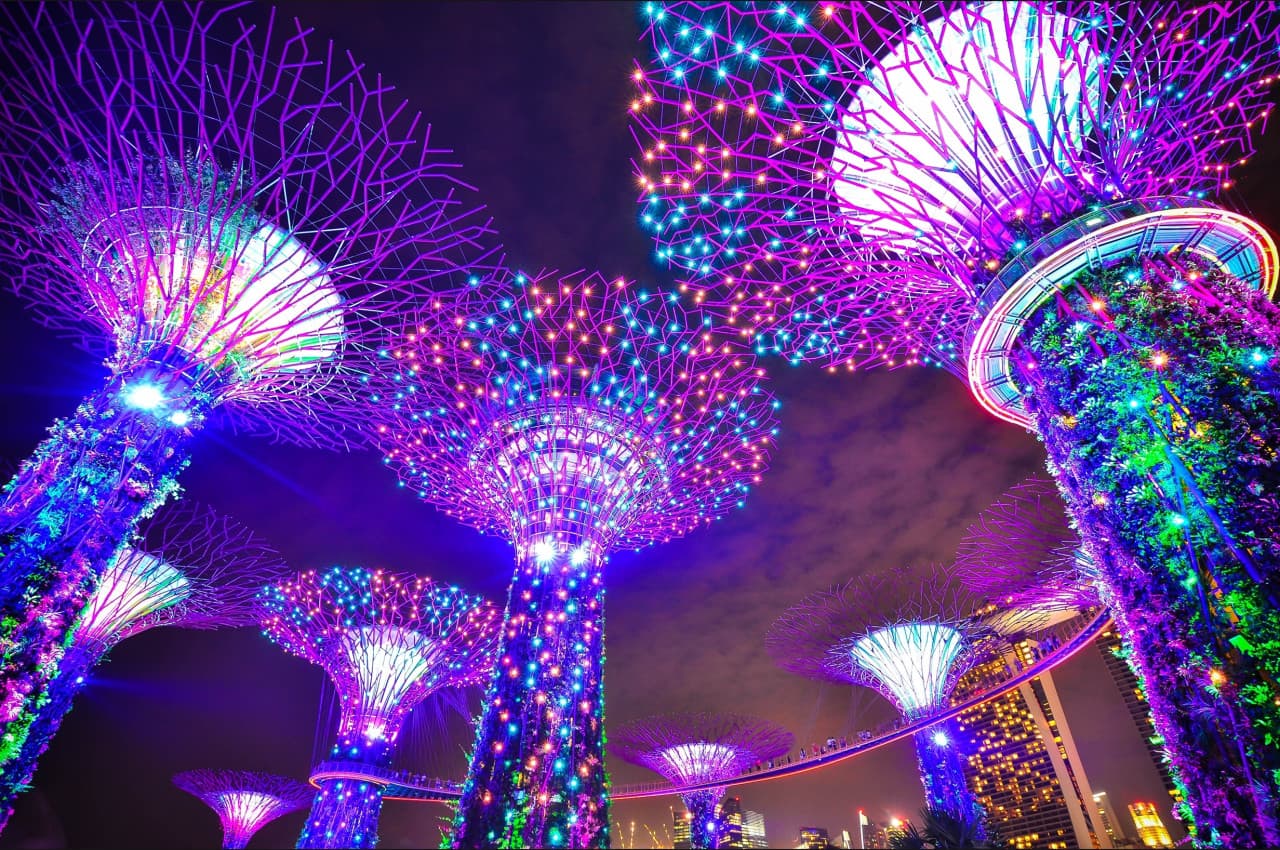 COMBO: Skyline Luge Singapore + Gardens by the Bay Ticket – photo 15