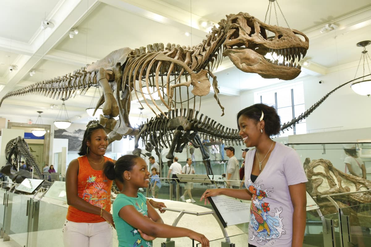 Go City New York Essential Pass: Save up to 50% on Attractions