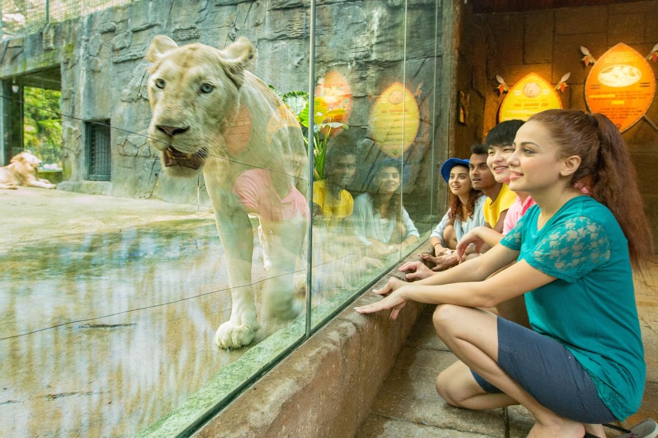 Sunway Lagoon Theme Park Ticket – photo 15