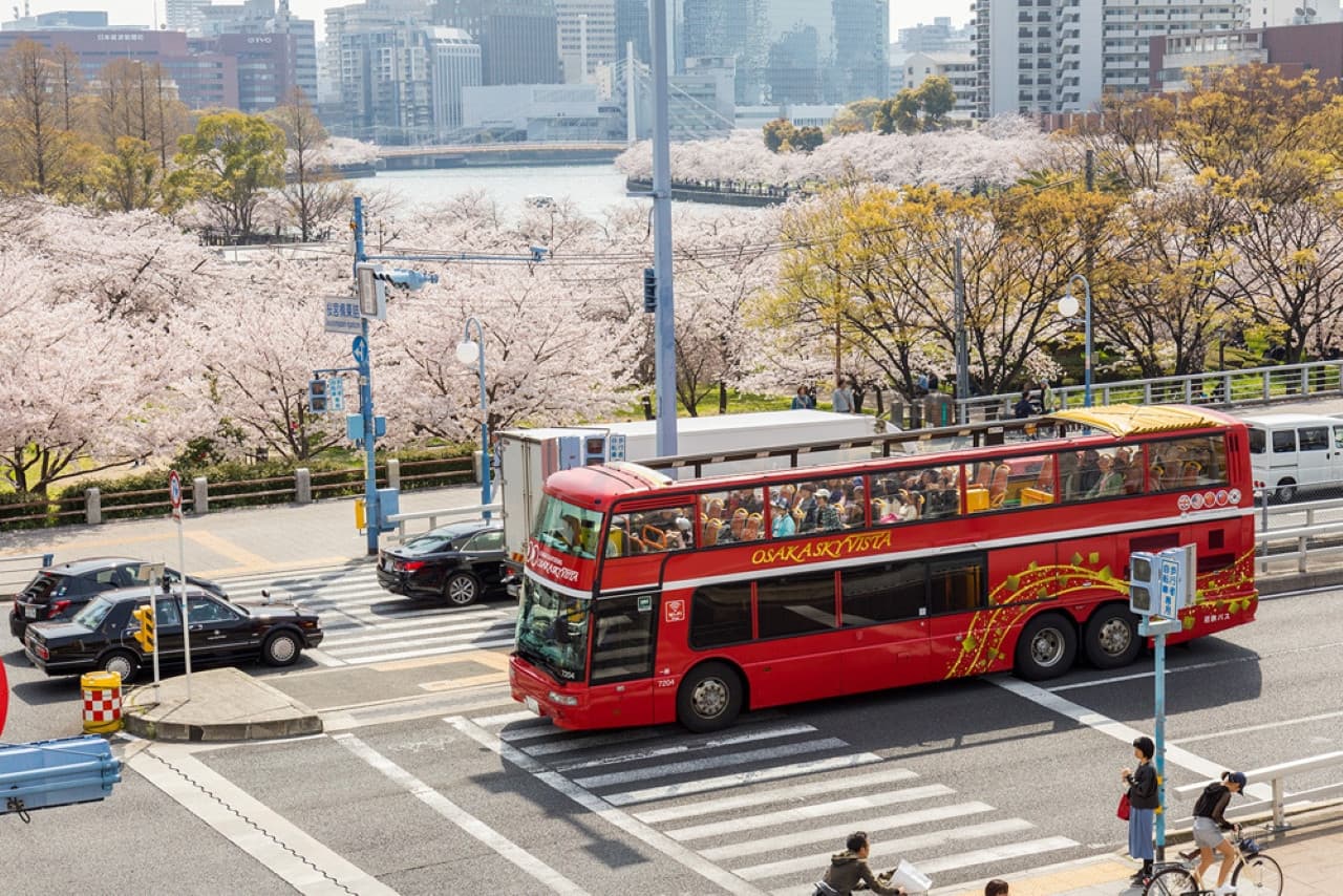 Osaka Sky Vista or Nani Wonder Sightseeing Bus Tour – photo 16