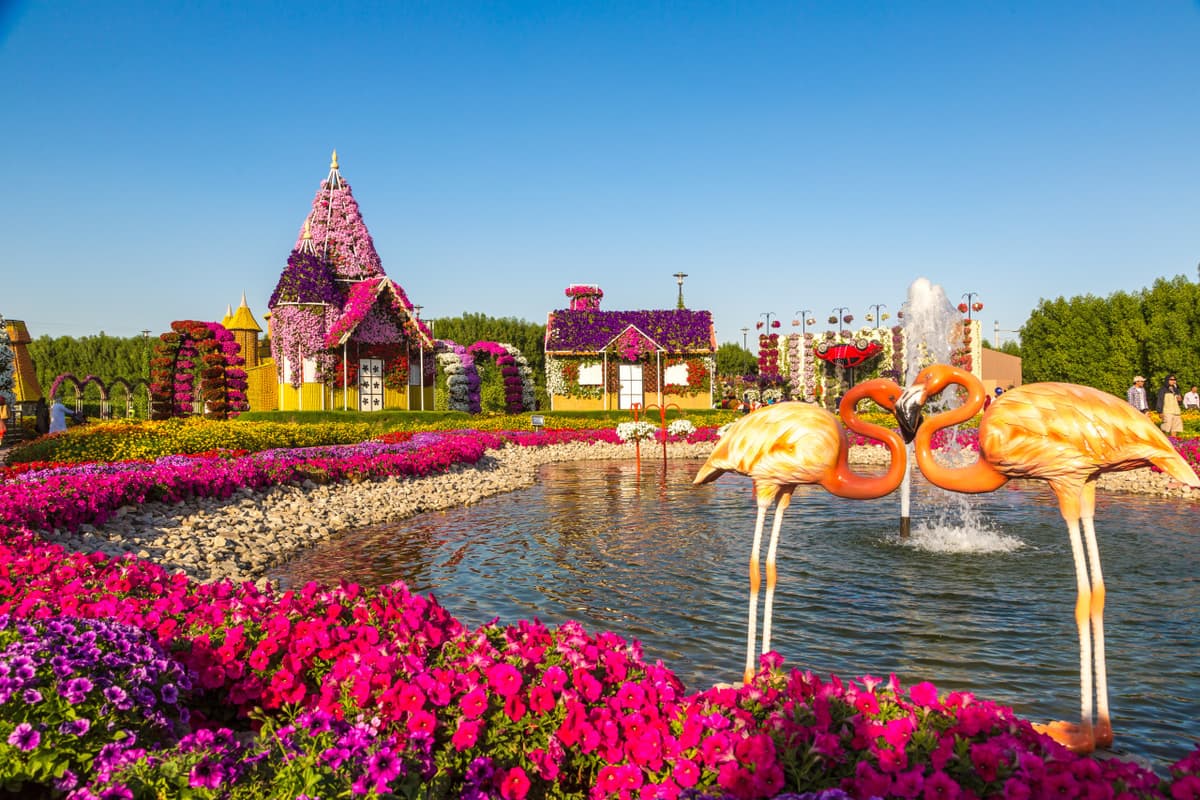 Dubai Miracle Garden Ticket
