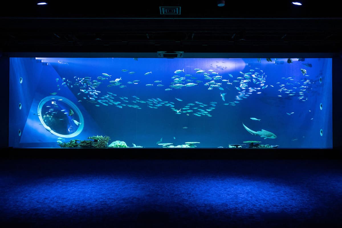 Okinawa DMM Kariyushi Aquarium