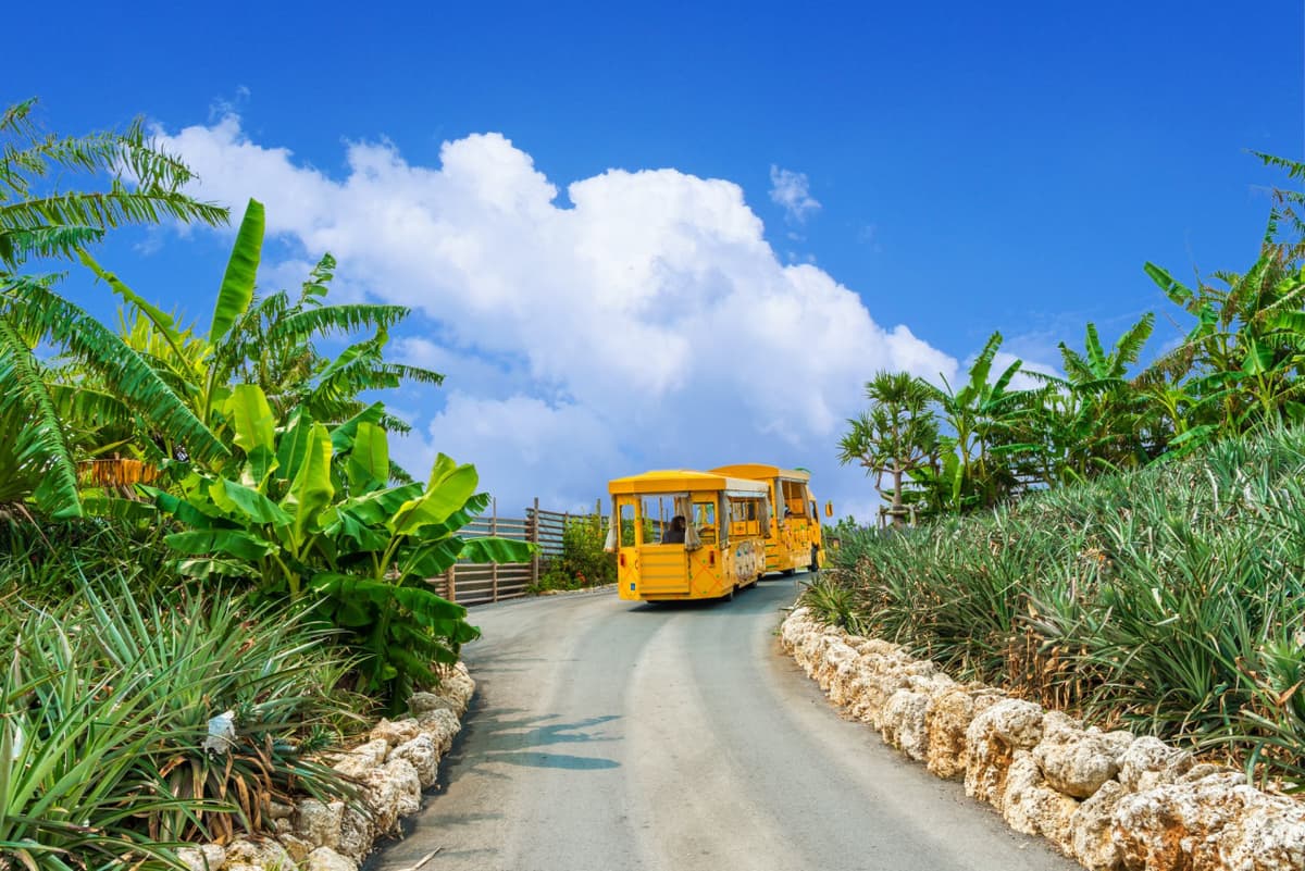 Okinawa Nago Pineapple Park