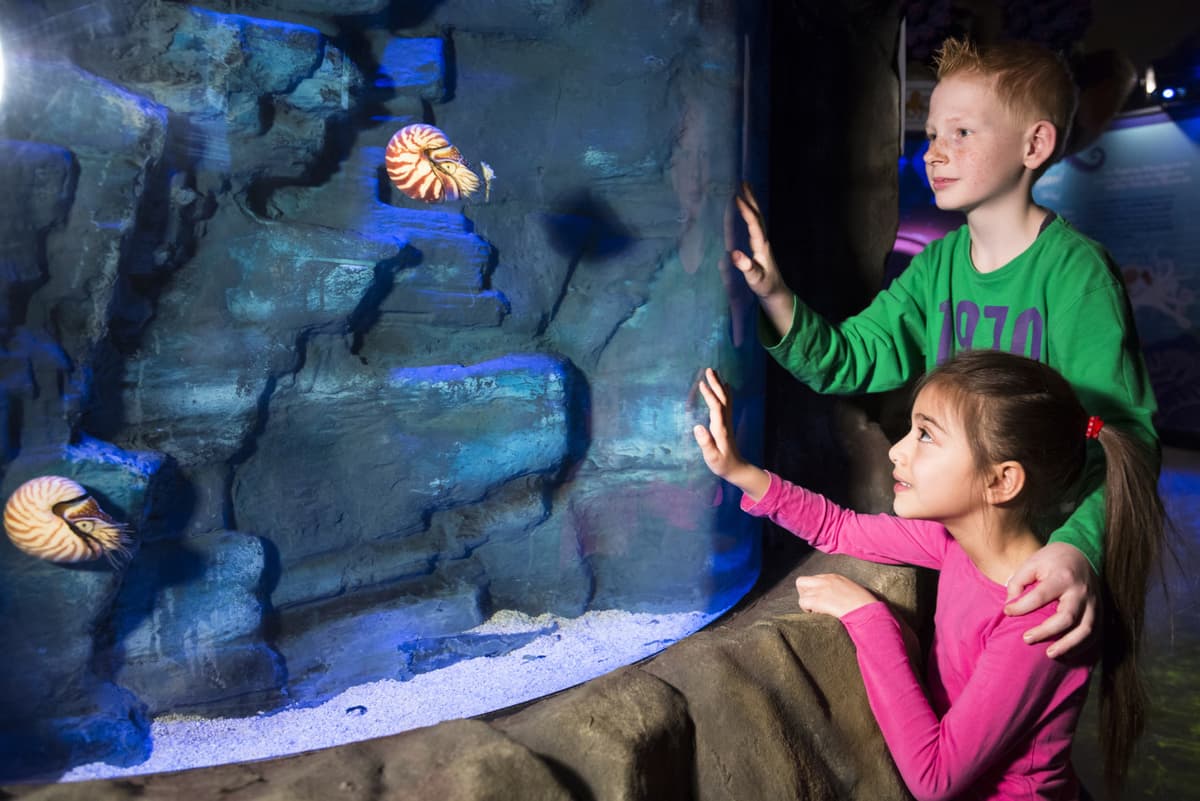 SEA LIFE Hannover Aquarium Ticket