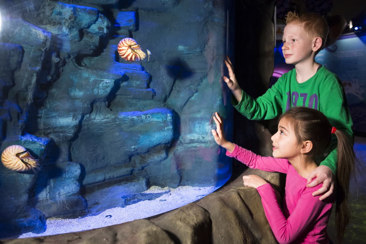 SEA LIFE Hannover Aquarium Ticket