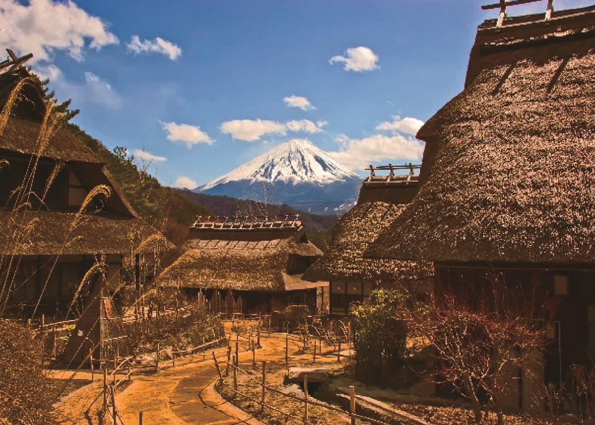 Mount Fuji and Arakurayama Sengen Park 1 Day Bus Tour