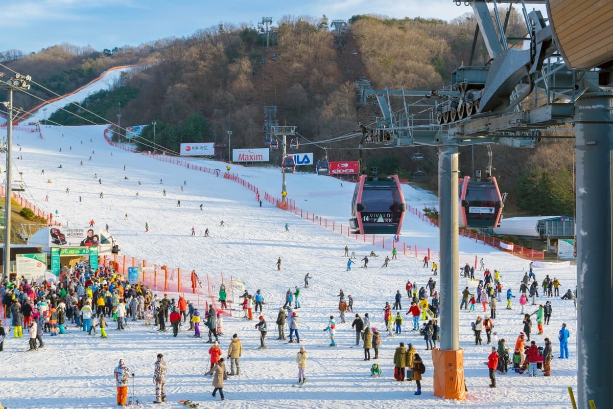 Vivaldi Park Ski World and Nami Island Full-Day Tour from Seoul