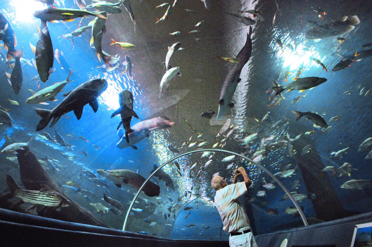 Chiang Mai Zoo Aquarium