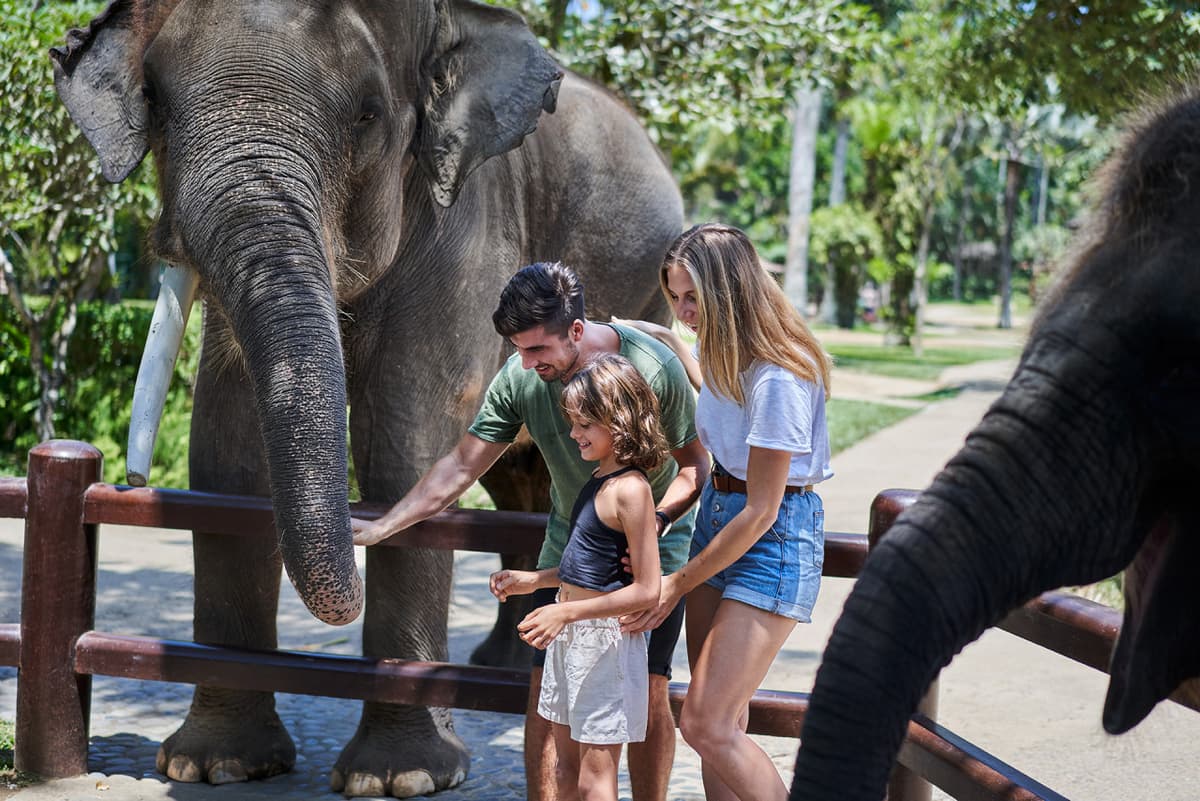 Mason Elephant Park Bali by Mason Adventures (Formerly known as Elephant Safari Park)