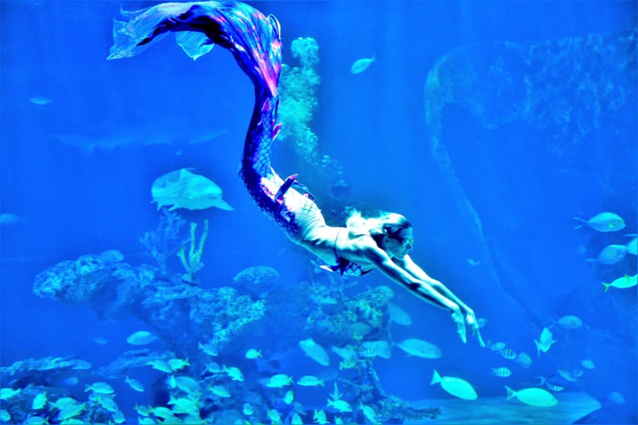 Aquaria Phuket – photo 18
