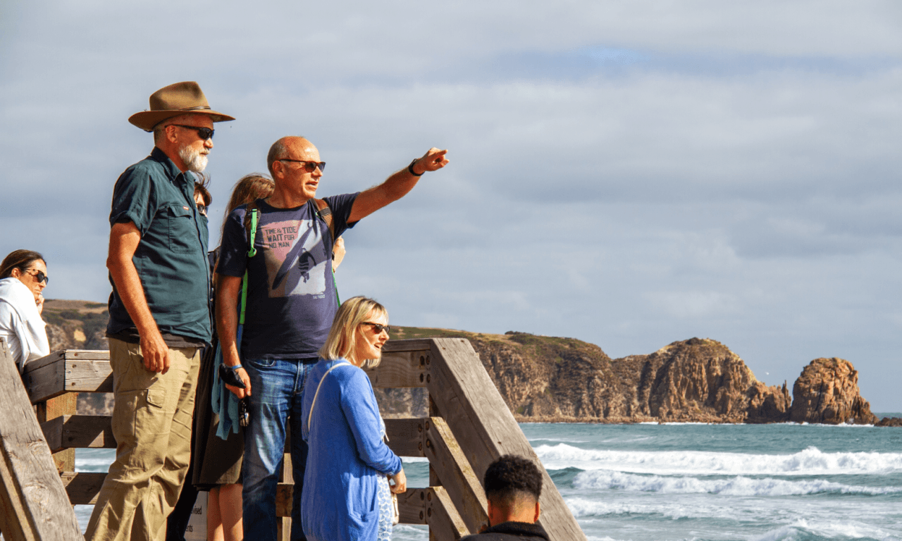 Penguins Express Tour from Melbourne – photo 6