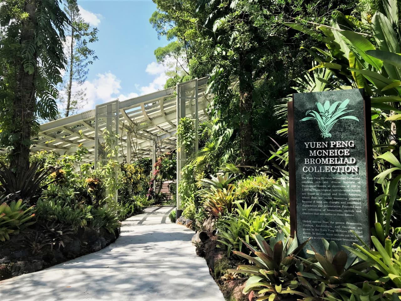 National Orchid Garden Ticket