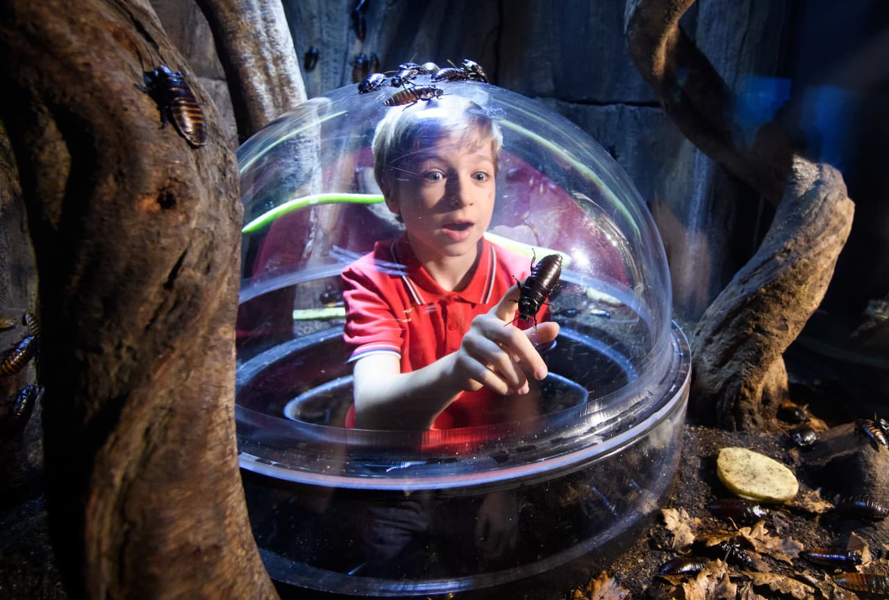 SEA LIFE London Aquarium Ticket